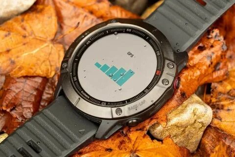 Garmin pro watch
