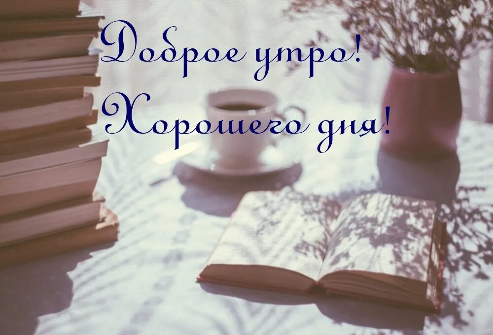 Доброе утро книга. Литературное доброе утро. С добрым утром книга. Хорошего дня с книгой. Добрый день книга.