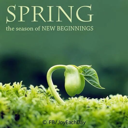 The beginning of spring march april is. Зеленые обои. the new life. new life картинки.