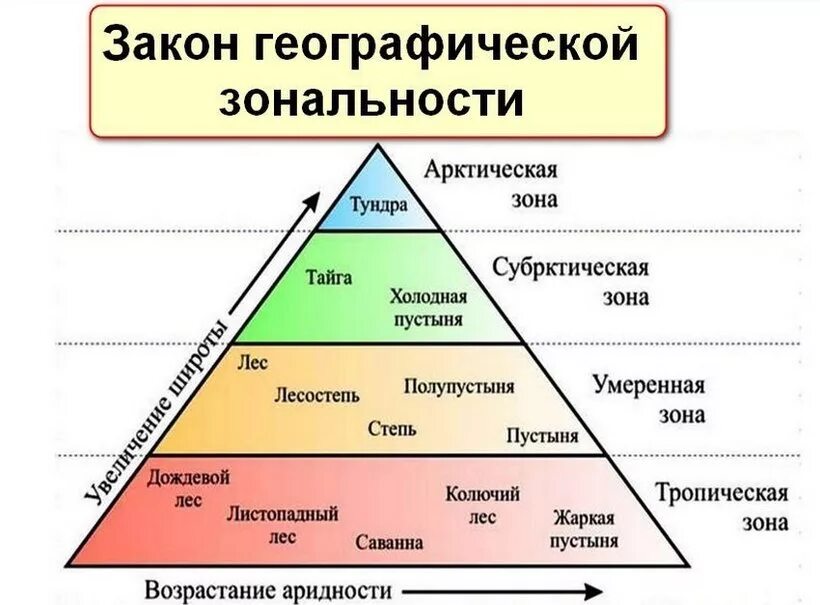 Географическая зональность. Зональность географической оболочки. Закон Широтной зональности. Географическая зональность (природные зоны). Что прежде всего отличает географическую модель современного