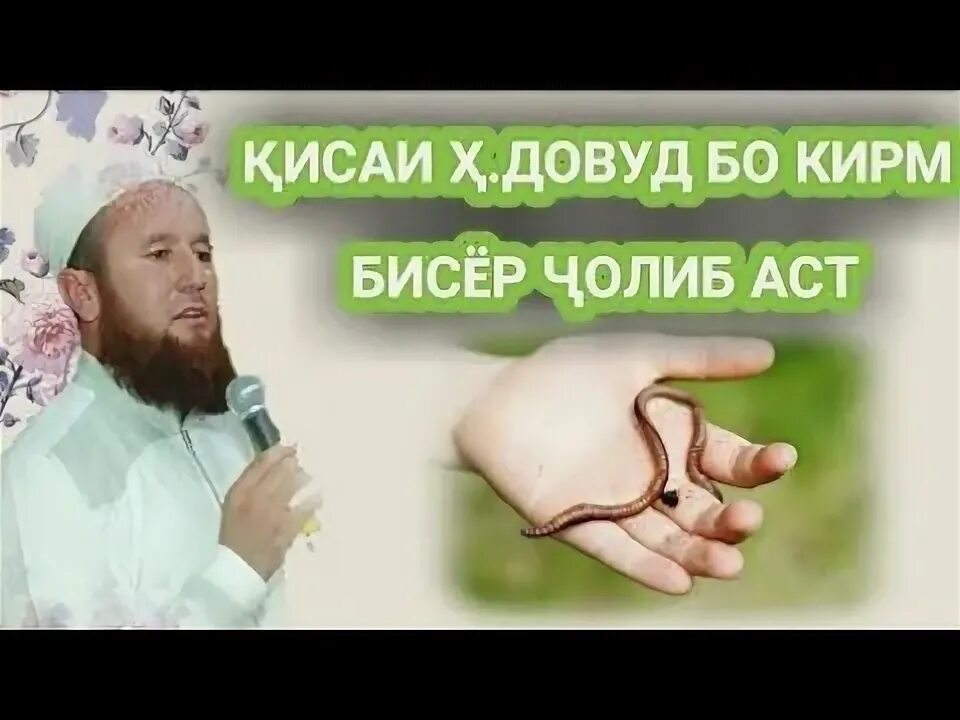 Кирм сайт. Кори Иброхим. Кирм. Буев кирм.