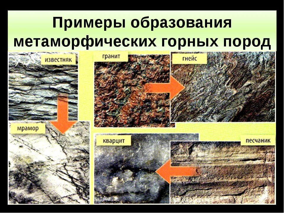 Магматические осадочные и метаморфические горные породы. Метаморфические горные породы осадочные горные породы. Минералы метаморфических пород. Метаморфические горные породы полезные ископаемые. Какие горные породы образовались в результате преобразования