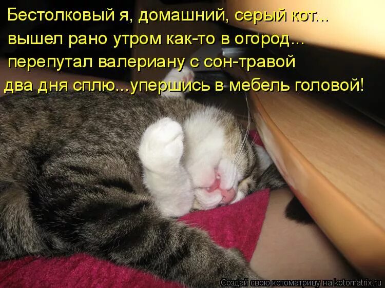 Спала никому не мешала