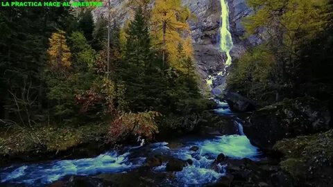 Гиф природа
