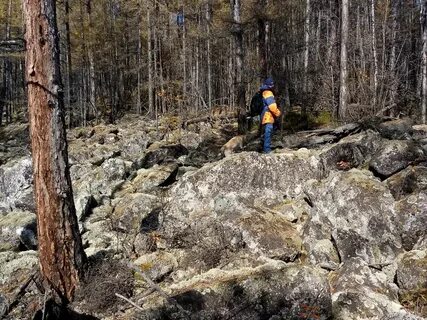 Погода в зейском районе амурской