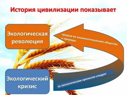 Окружающее революция