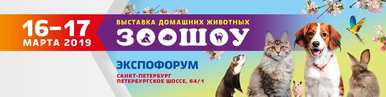 Зоошоу экспофорум. Выставка в Экспофоруме животных. Выставка Зоошоу ЭКСПОФОРУМ. Мероприятия Зоошоу. Выставка животных в Экспофоруме в 2022.