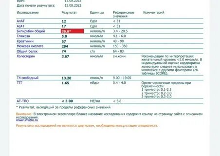Билирубин у собак