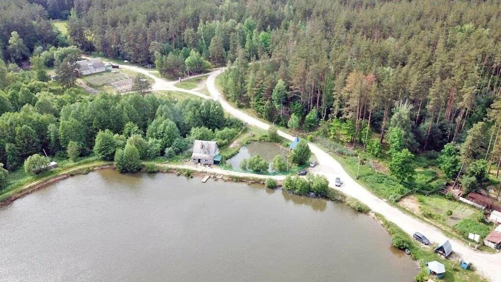 пруд васютино рыбалка. селькин пруд орловская область. селькин пруд орловская область. селькин пруд орловская область. селькин пруд дмитровский район орловской.