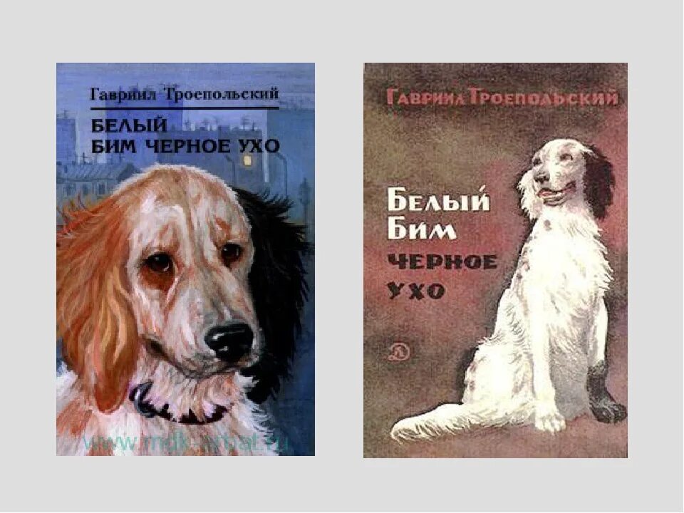 Читать книгу белый бим полностью. Книга троепольского белый бим черное ухо. г н троепольский белый бим черное ухо.