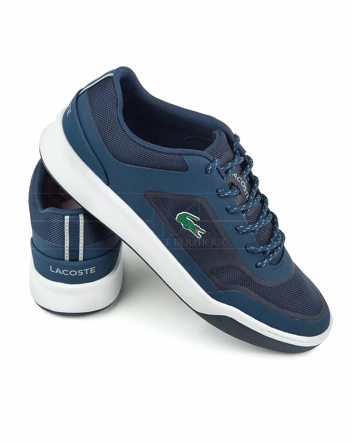 Кроссовки Lacoste Sport storm06. Кроссовки Lacoste Avenir 118 1. Lacoste Sport обувь мужская. Кожаные кроссовки Lacoste Sport.