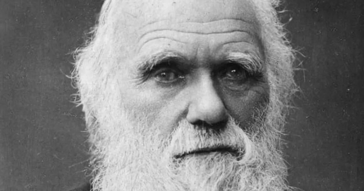 Ученые биологи дарвин. Ч дарвин портрет. Ученые биологи дарвин. Чарлз дарвин открытие в биологии. Ученые биологи дарвин.
