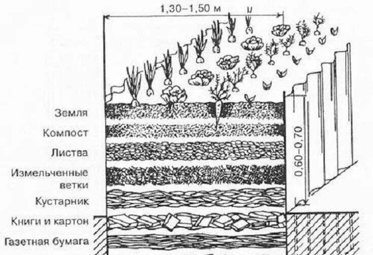 Теплые грядки своими руками пошаговое изготовление. Грядка Хольцера схема. Грядка в теплице слои. Схема теплых грядок в теплице. Теплая грядка для томатов в теплице.