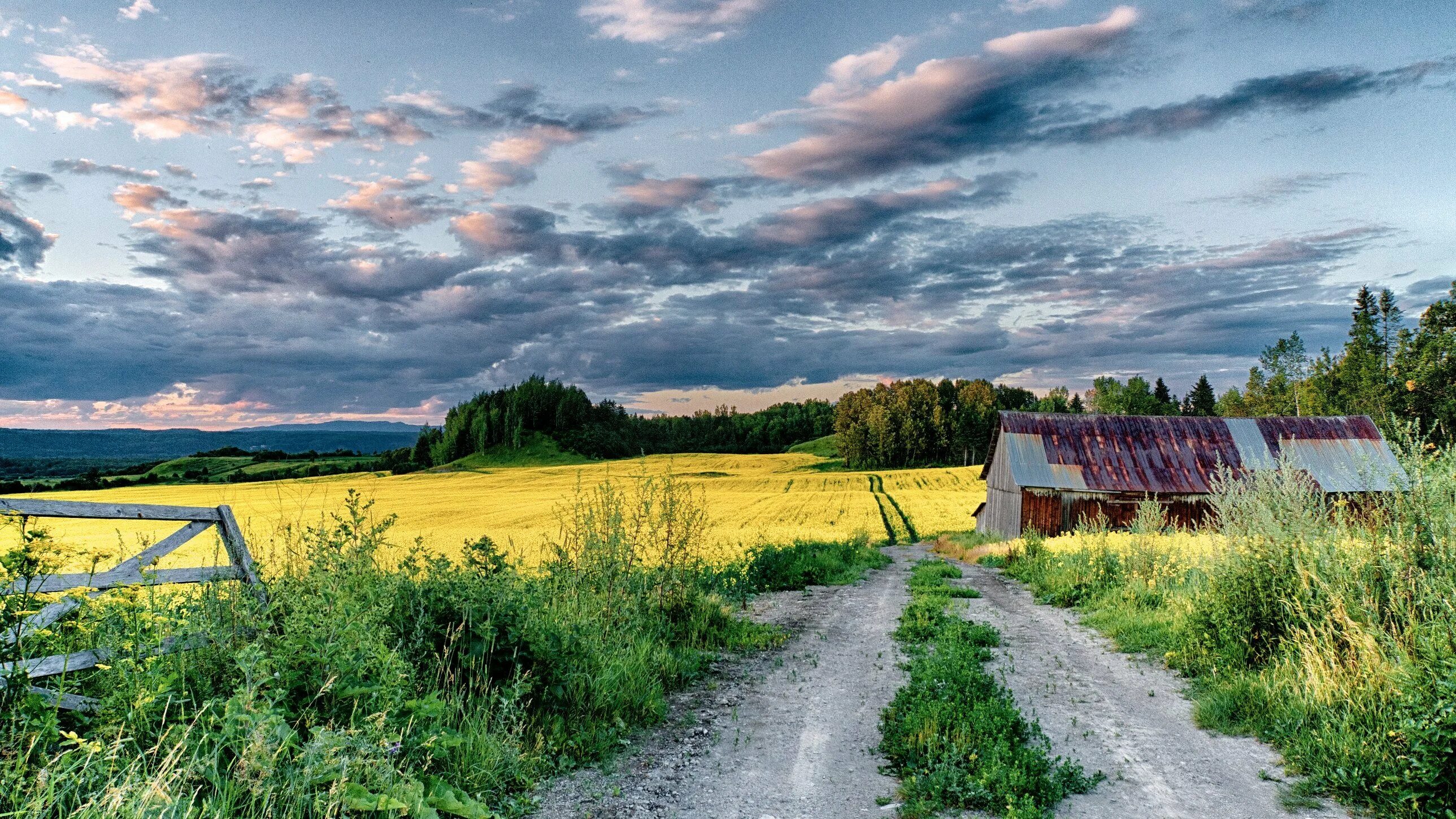 Церковь луг деревня. Инево поле деревня. Сельский пейзаж. Красивая природа в деревне. Картинка на рабочий стол деревня