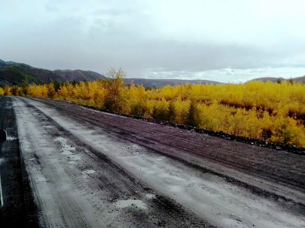 Нера магадан. Нексикан магаданской области. Нера магадан. Нера магадан. Нера магадан.