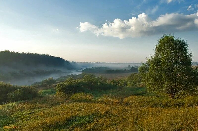 Сочинение все в тающей дымке. Холмы перелески. Всё в тающей дымке Рыленков. В тающей дымке. Все в тающей дымке холмы перелески.