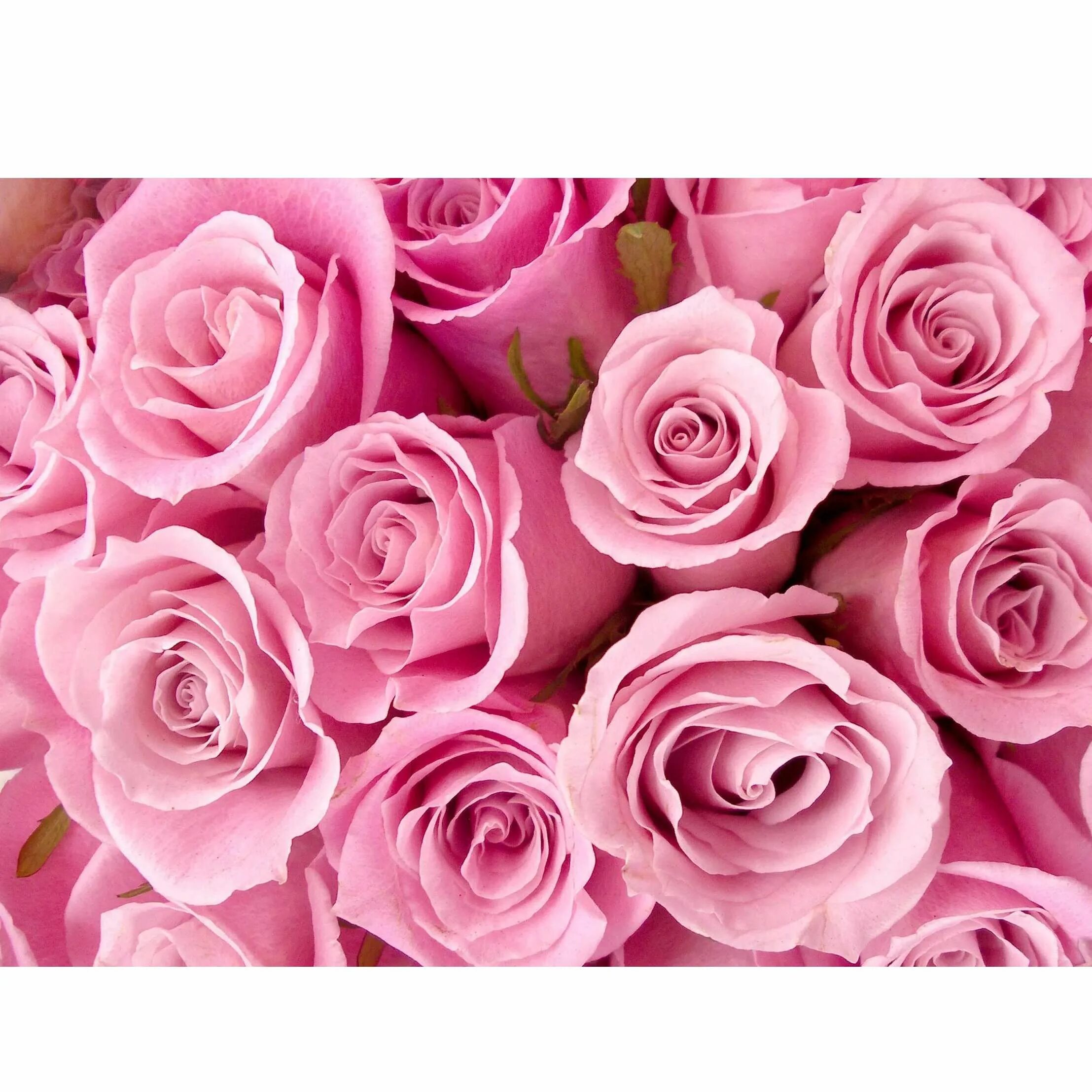 Getcamgirls pink0811. Getcamgirls pink0811. Zipbaits rigge 90 sp 811. Zipbaits rigge 70sp (5,0г) 017 winning red. Getcamgirls pink0811.