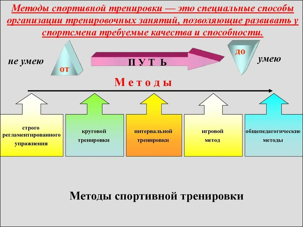 Принципы подготовки спортсмена. Схема методов спортивной тренировки. Методы тренировочного процесса. Методы организации тренировочного процесса. Методы, применяемые в тренировочном процессе:.