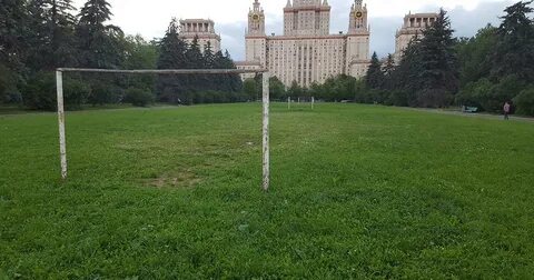 Спорт мгу