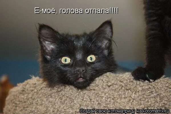 Башка отвалится. Памятник голова отвалилась. Башка отвалится. Сказка каждому кланяться голова отвалится. Башка отвалится.