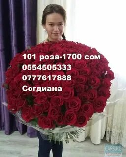 Стой 101