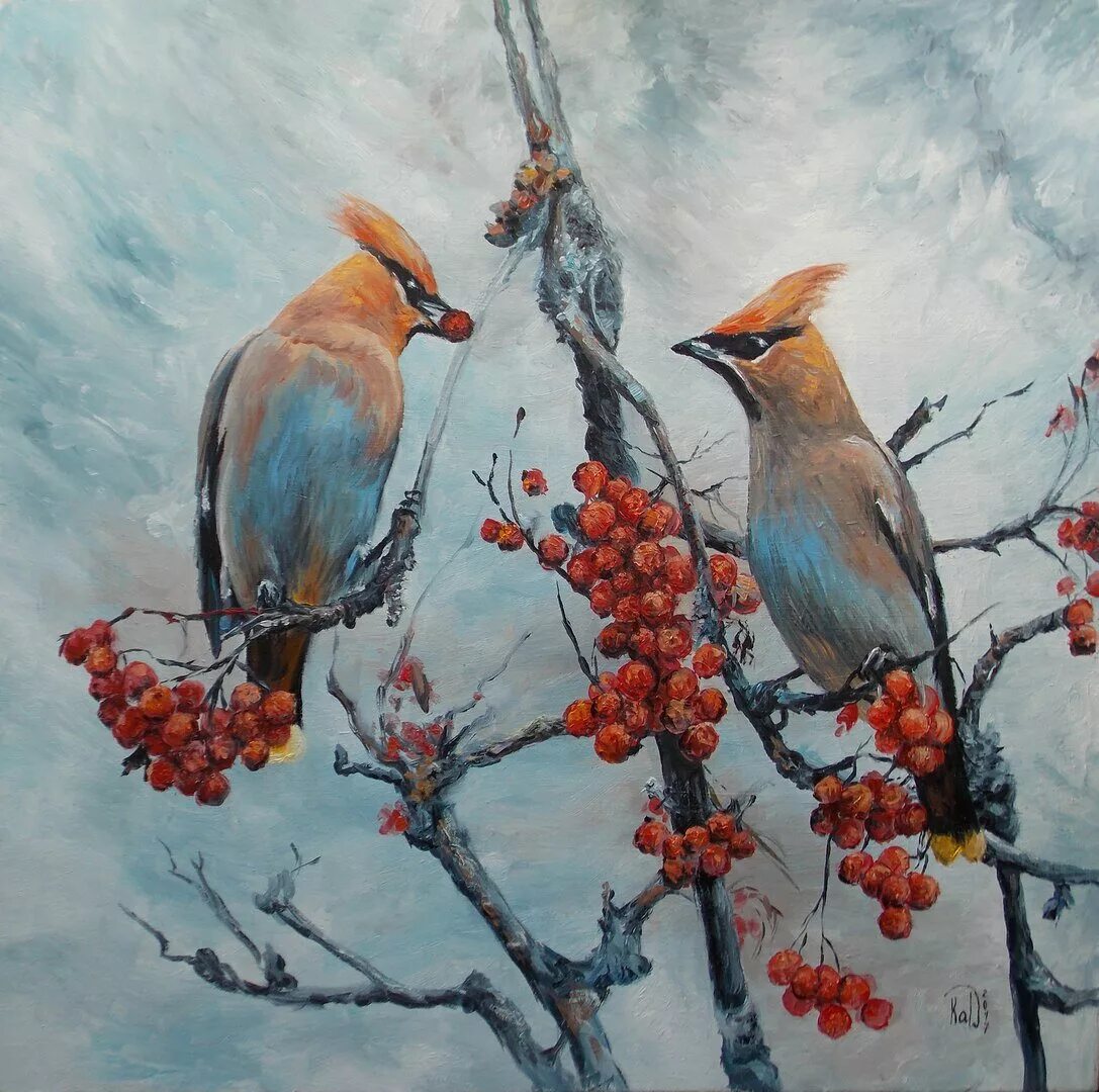 там где жили свиристели