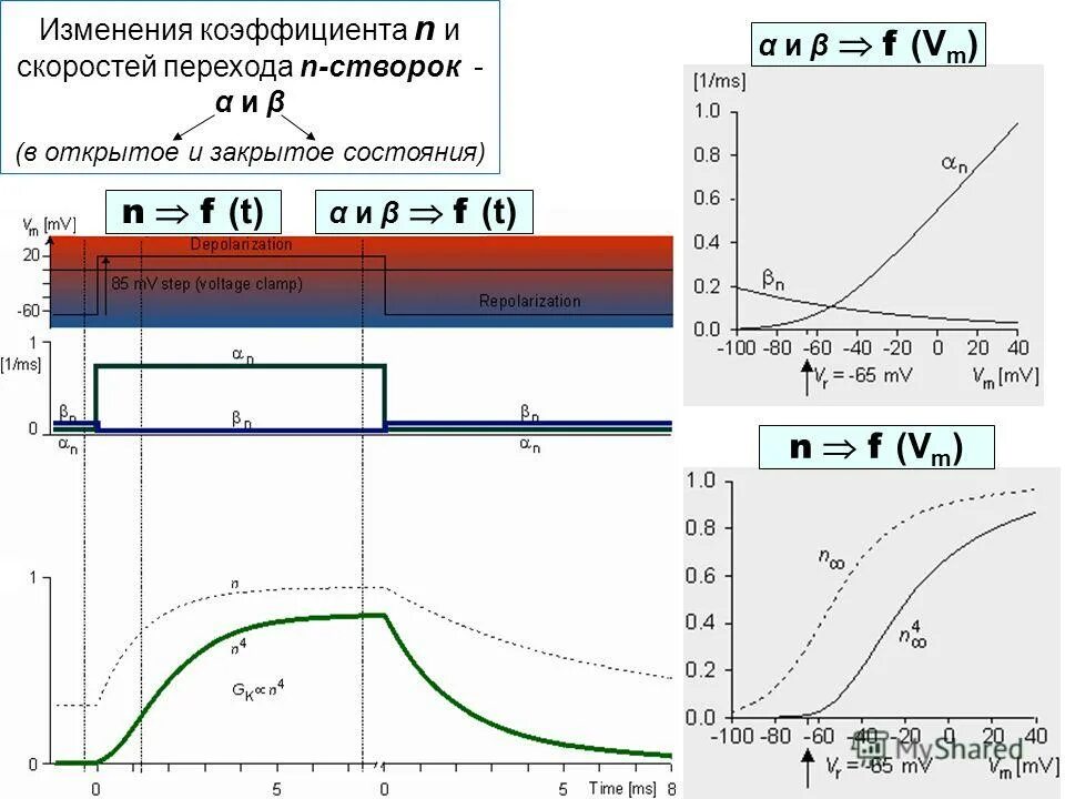 Изменения на закрытое состояние. Коэффициент изменения скорости. Скорость изменения показателя. Скорость перехода. Коэффициент поправки.