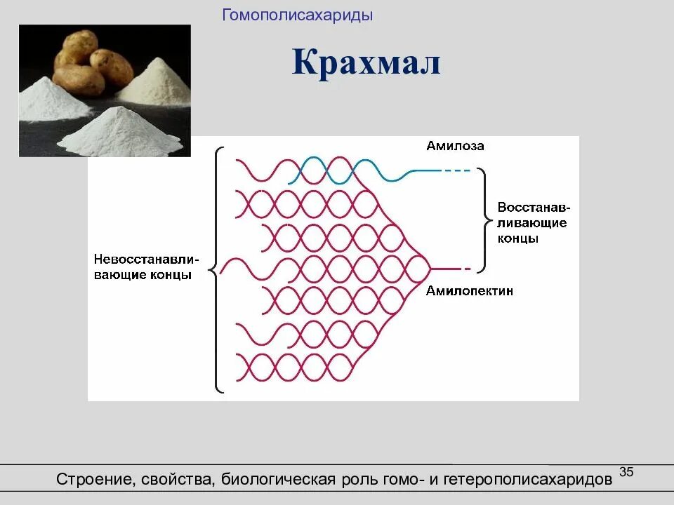 Крахмал полимер. Структурное строение крахмала. строение амилозы крахмала. структура крахмала. строение крахмала биология.