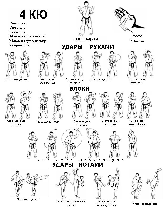 Кате 10 кю
