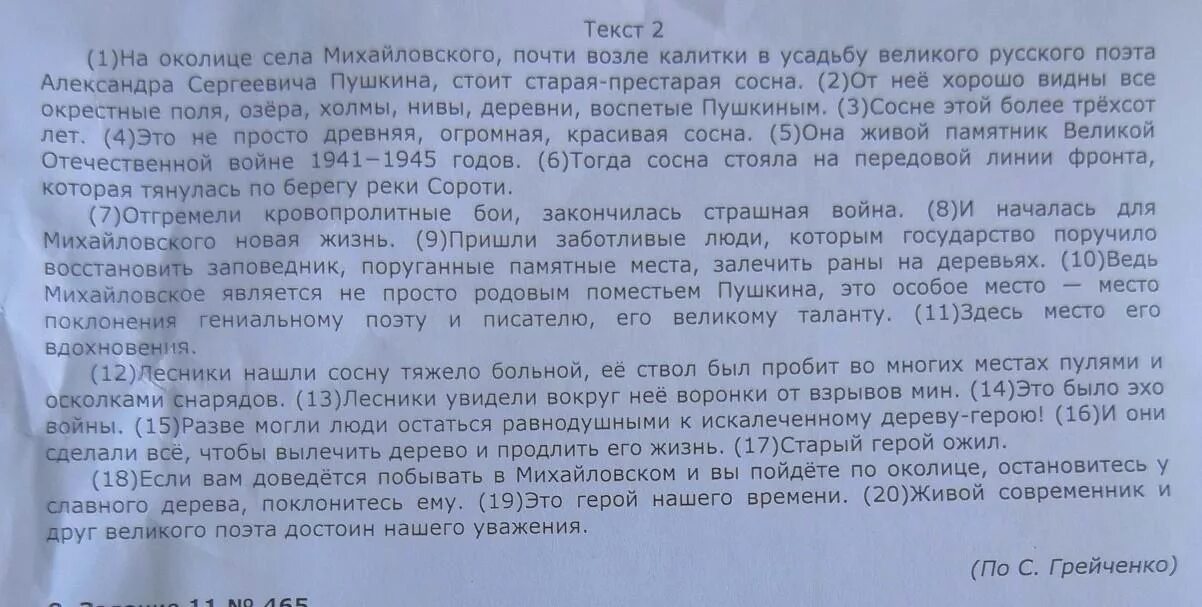 Текст 1 наше большое село. На Околице села Михайловского почти возле калитки. Изложение сосна в Михайловском. На Околице Михайловского изложение. На Околице села Михайловского основная мысль.