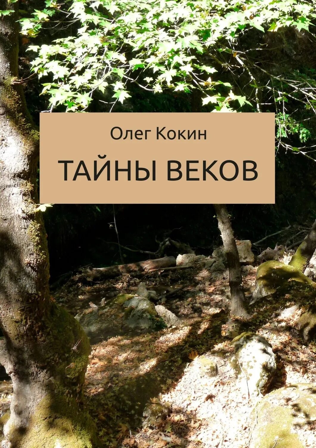 Тайны века книга. Тайна века.