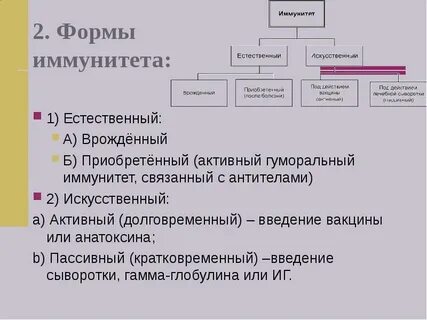 Естественный активный иммунитет возникает после