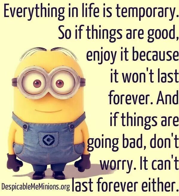 Everything go bad. Quotes about life with humor. funny quotes. everything is temporary.