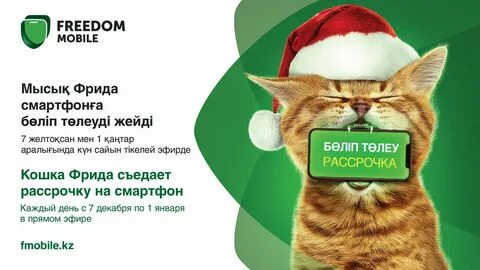 Freedom mobile