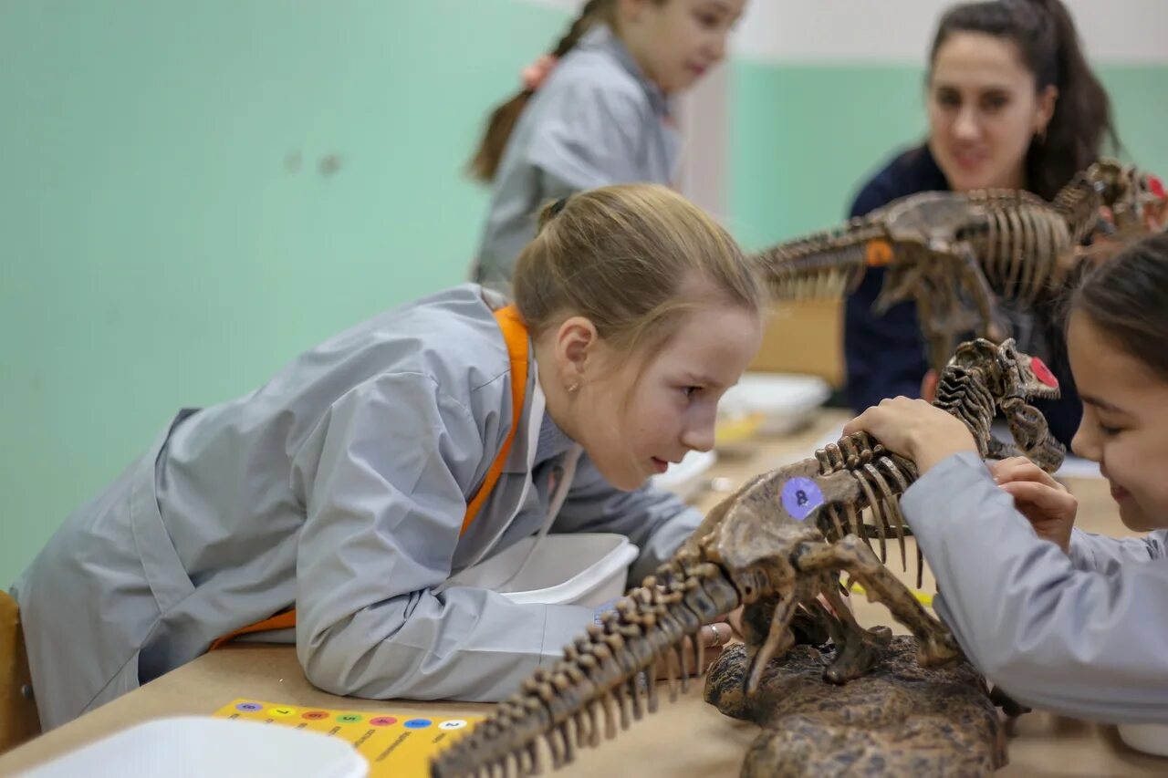 Изучение животных. Занятия по палеонтологии. Зоолог после 9. Ветеринар. Зоолог профессия.