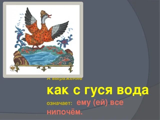 Объясните значение как с гуся вода. Как с гуся вода фразеологизм. Что означает как с гуся вода. Фразеологизмы про гуся. Картинка к фразеологизму как с гуся вода.