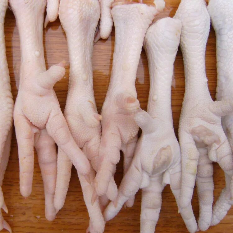 Лакомство лапки куриные пм. Кошачья лапка. Куриная лапа для собак зверюня. Куриные лапки кошке. Лапа кота.