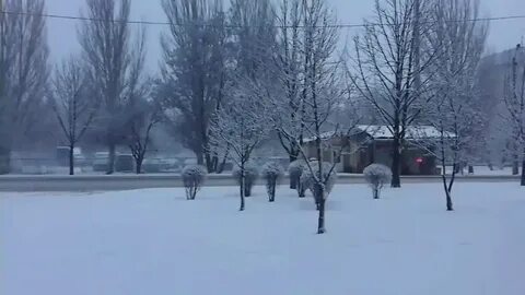Погода на сегодня в донецке днр