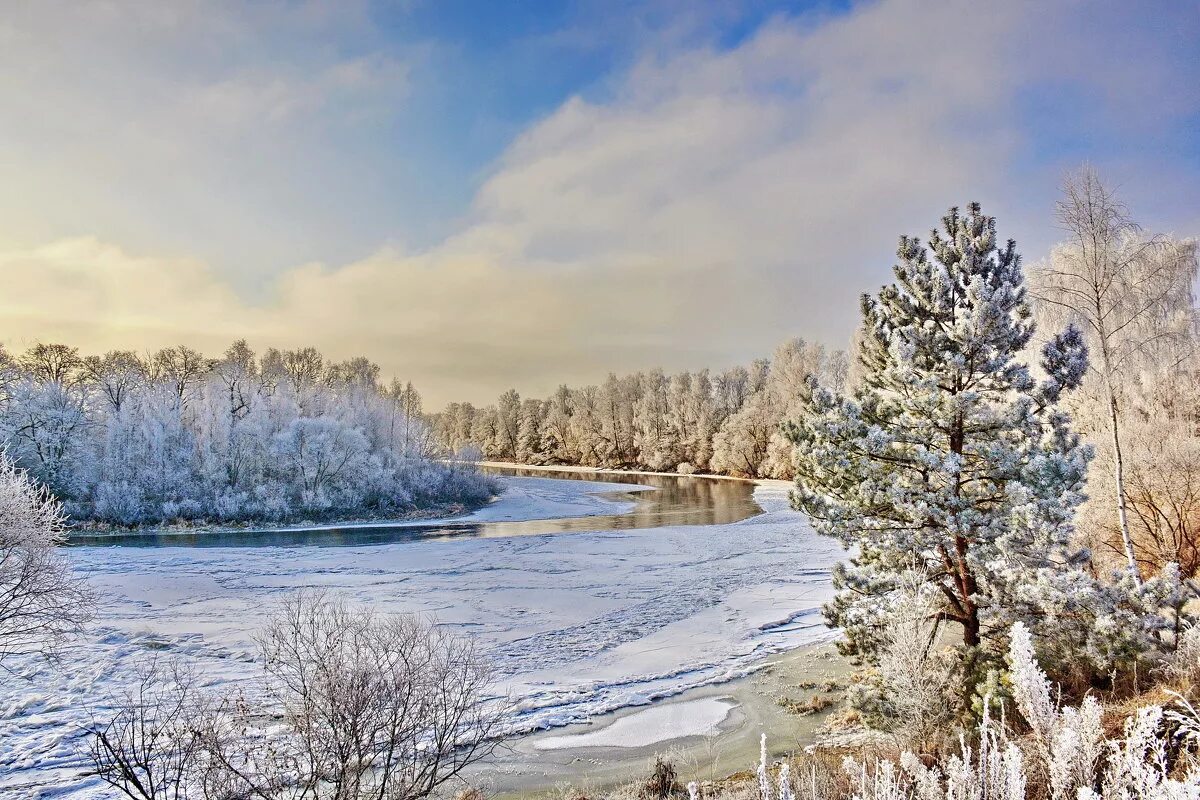 Родной край зимой. Зима в Беларуси. Зимний день. Природа Белоруссии зимой. Белорусская природа зимой.