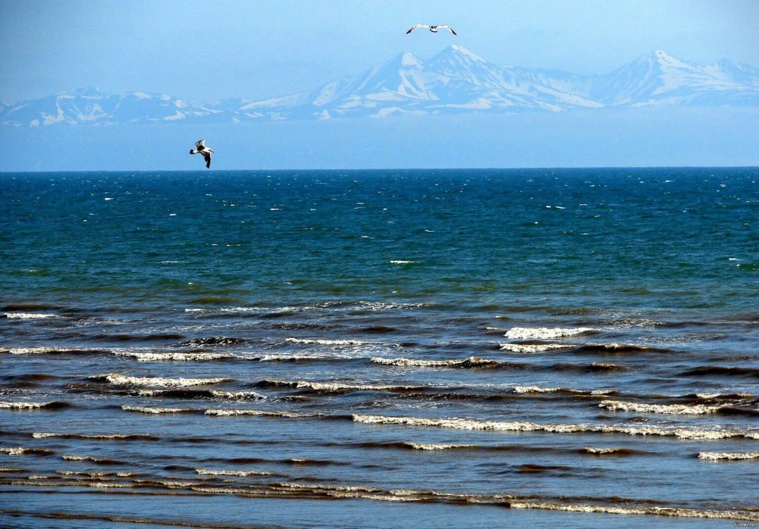 Море лоб. Охотское море Сахалин. Охотское море у берегов Сахалина. Магадан побережье Охотского моря. Побережье Охотского моря Камчатка.