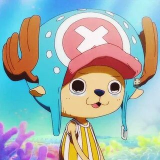 One piece чоппер