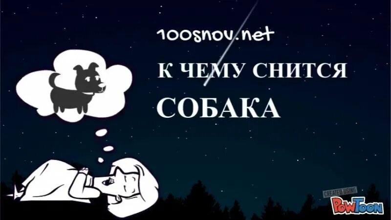 Сон видеть собаку маленькую. Сонник-толкование снов собака. Сонник собака к чему. Толкование сна к чему снится собака. Что снится собакам.