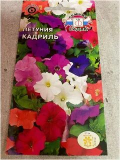 Петуния многоцветковая отзывы