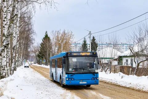 Березняк дубна