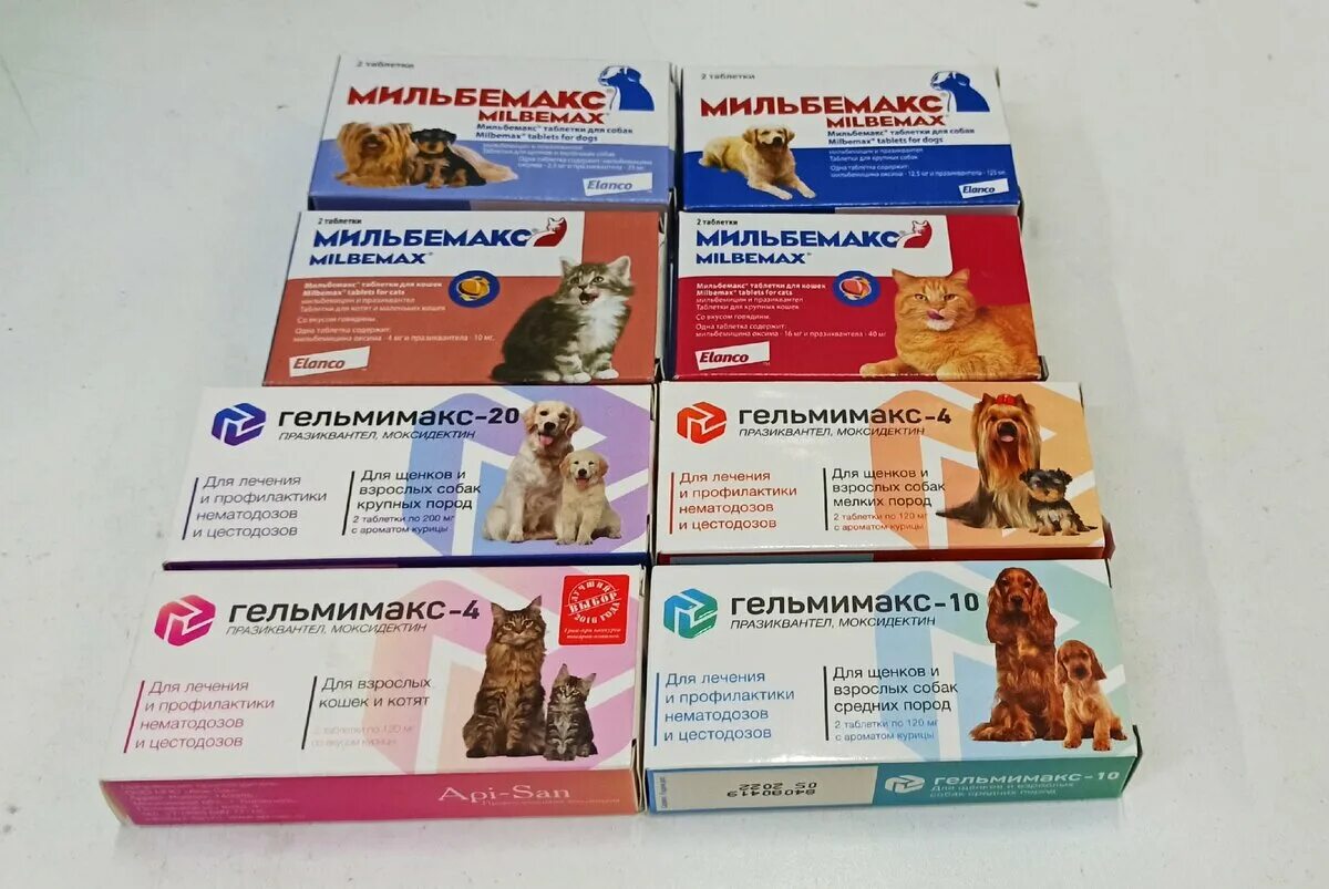 Препараты для глистогонки кошек. Глистогонные таблетки для кошек и собак. Глистогонные препараты для кошек перед прививкой. Капли от глистов для щенков 2 месяца. Собаке от глистов как часто