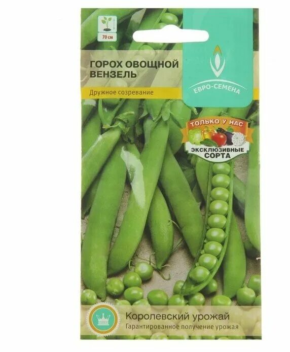 безлистный горохгорох. предложение со словом горох. семена спринтеры. горох образ жизни 500 г. предложение со словом горошек.