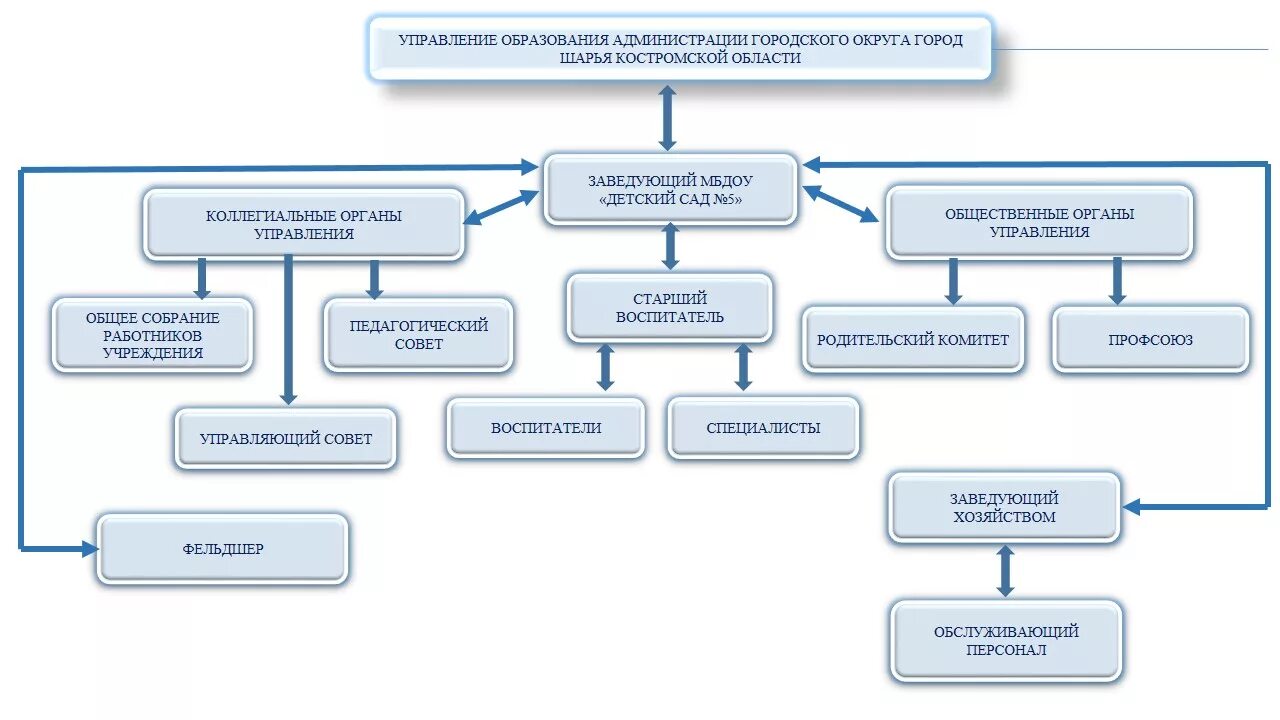 формирование коллегиальных органов
