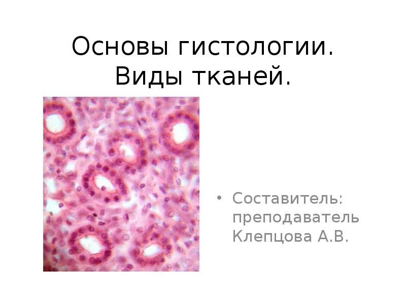 Предмет гистология. Типы тканей гистология. основы гистологии. основы гистологии ткани. виды тканей гистология.