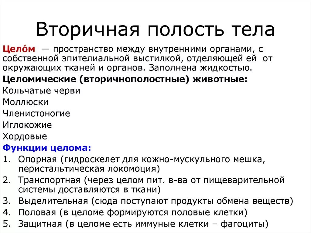 Имеет полость целом. Первичная и вторичная полость тела. Первичная и вторичная полость тела таблица. Первичная вторичная и третичная полость тела. Первичная и вторичная полость тела онтогенез.