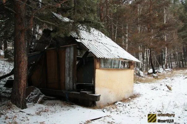 Дол байкал. Орленок иркутская область. Орленок иркутская область. Орленок иркутская область. Орленок иркутская область.